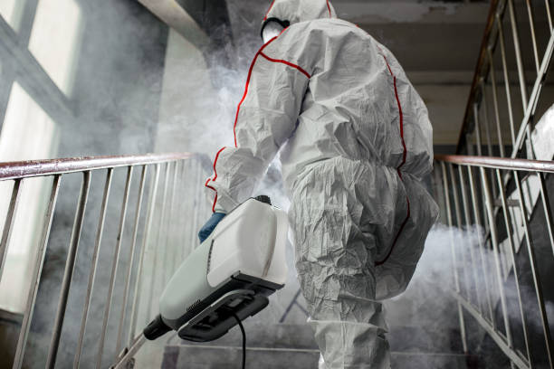 Mold Remediation for Rental Properties in Binghamton, NY